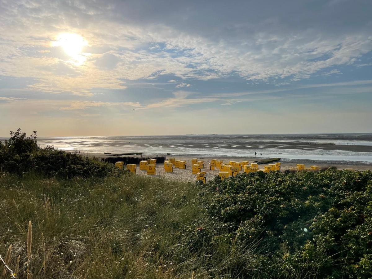 Strandläufer Cuxhaven